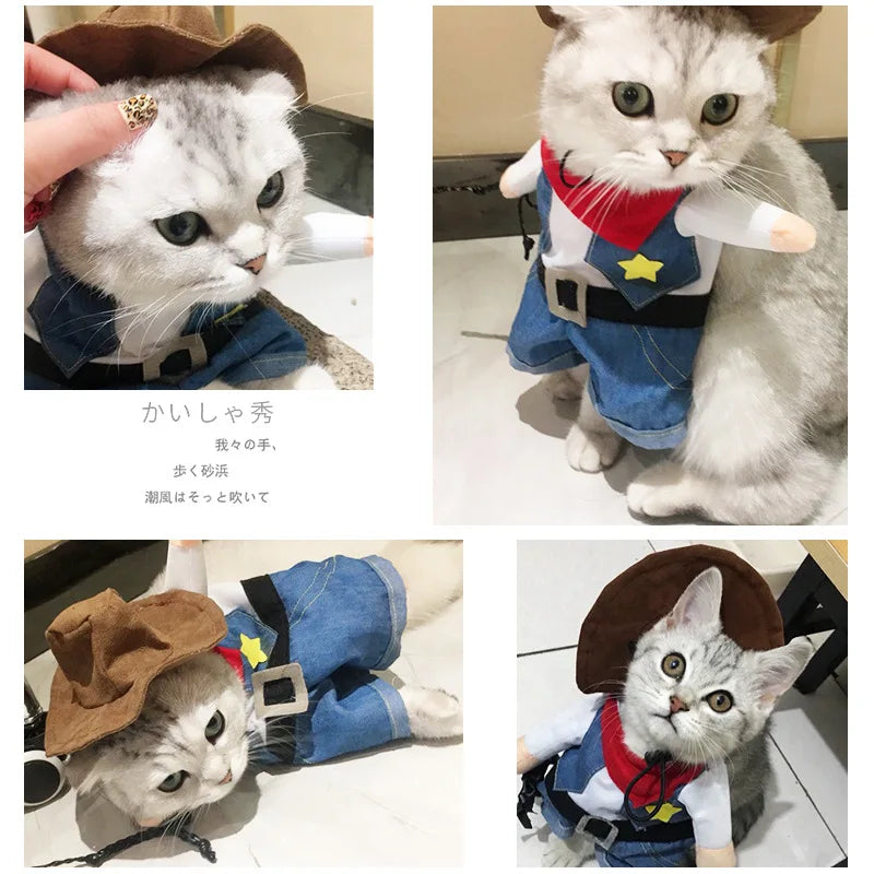 Cowboy Costume for Cats & Small Dogs