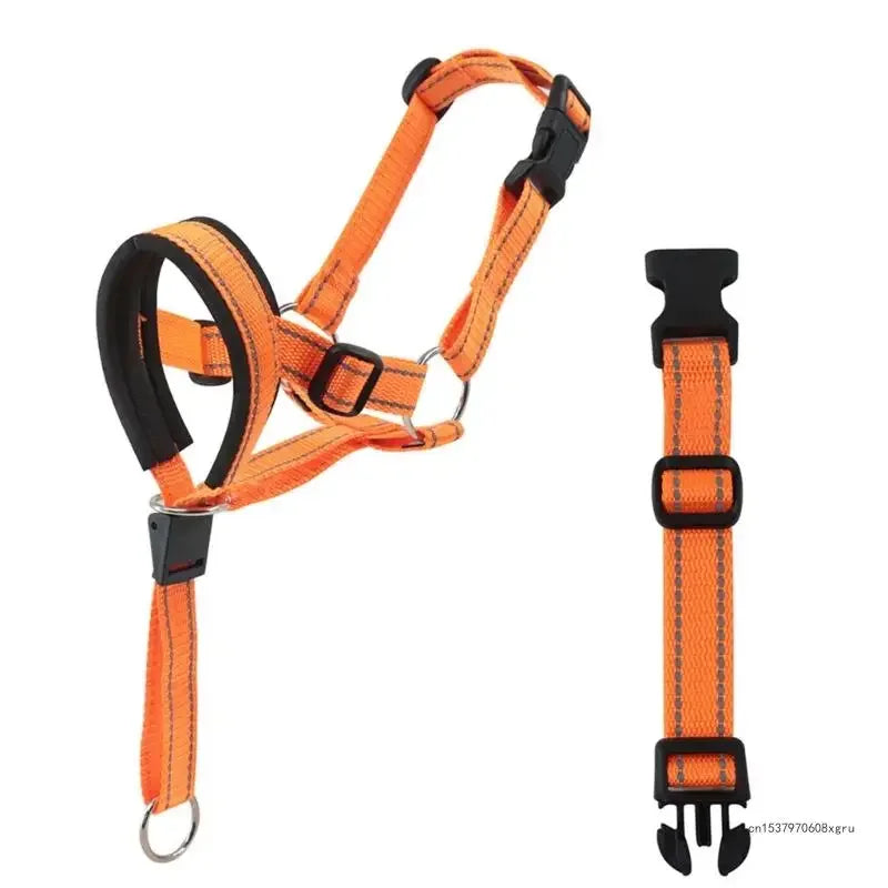 Gentle Leader Dog Training Halter – No-Pull Head Collar