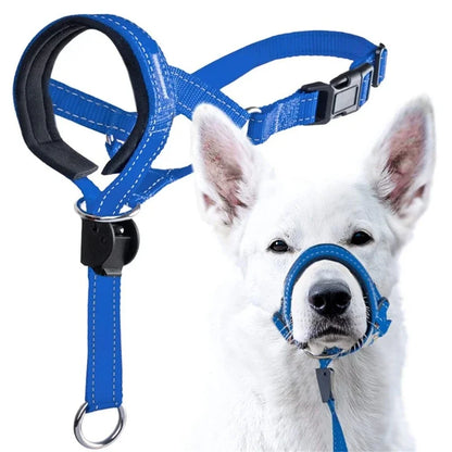 Gentle Leader Dog Training Halter – No-Pull Head Collar