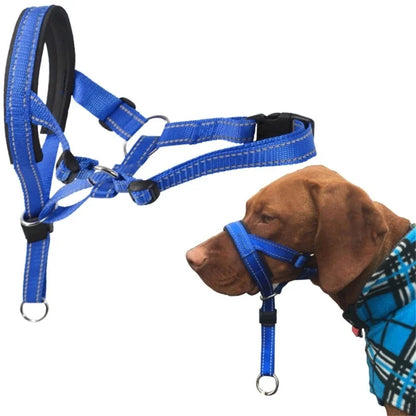 Gentle Leader Dog Training Halter – No-Pull Head Collar