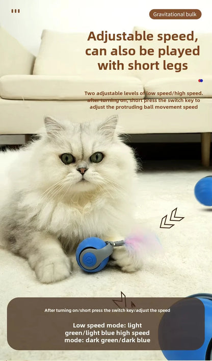 Interactive Speedy Tail Cat Toy – Automatic Rolling Ball & Feather Toy