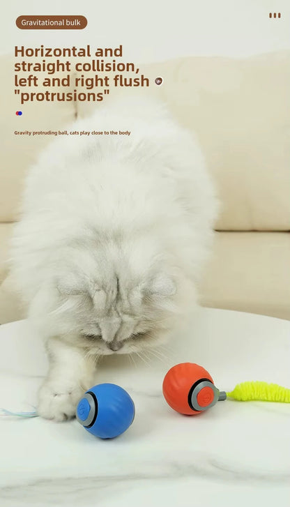 Interactive Speedy Tail Cat Toy – Automatic Rolling Ball & Feather Toy