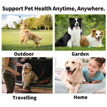 Pet Finger Toothbrush & Dental Wipes