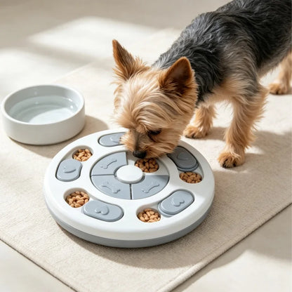 Dog Slow Feeder Puzzle Bowl