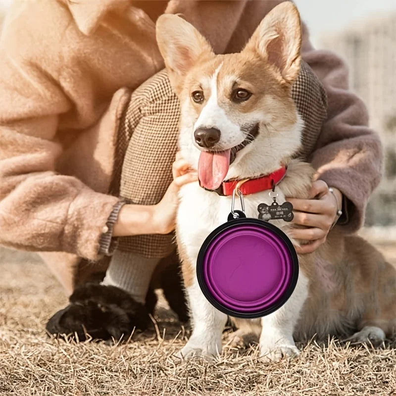 Portable Collapsible Pet Travel Bowl