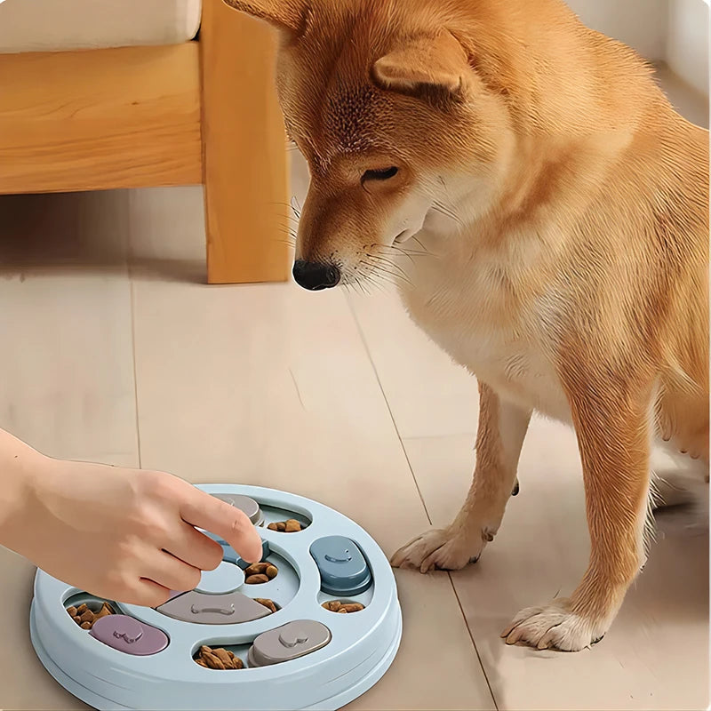Dog Slow Feeder Puzzle Bowl